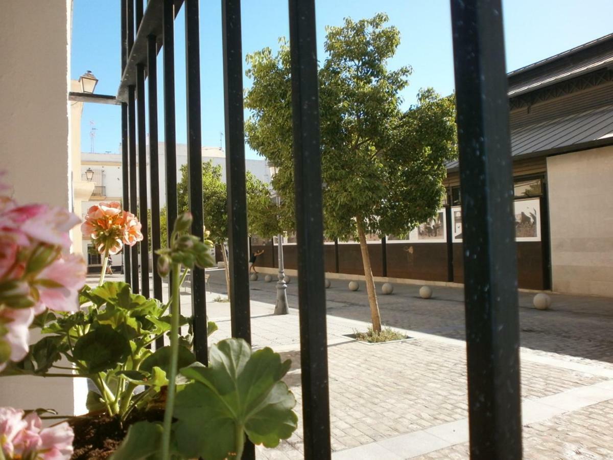 Casa En Plaza De La Merced_Centro Flamenco_Cadiz Dış mekan fotoğraf