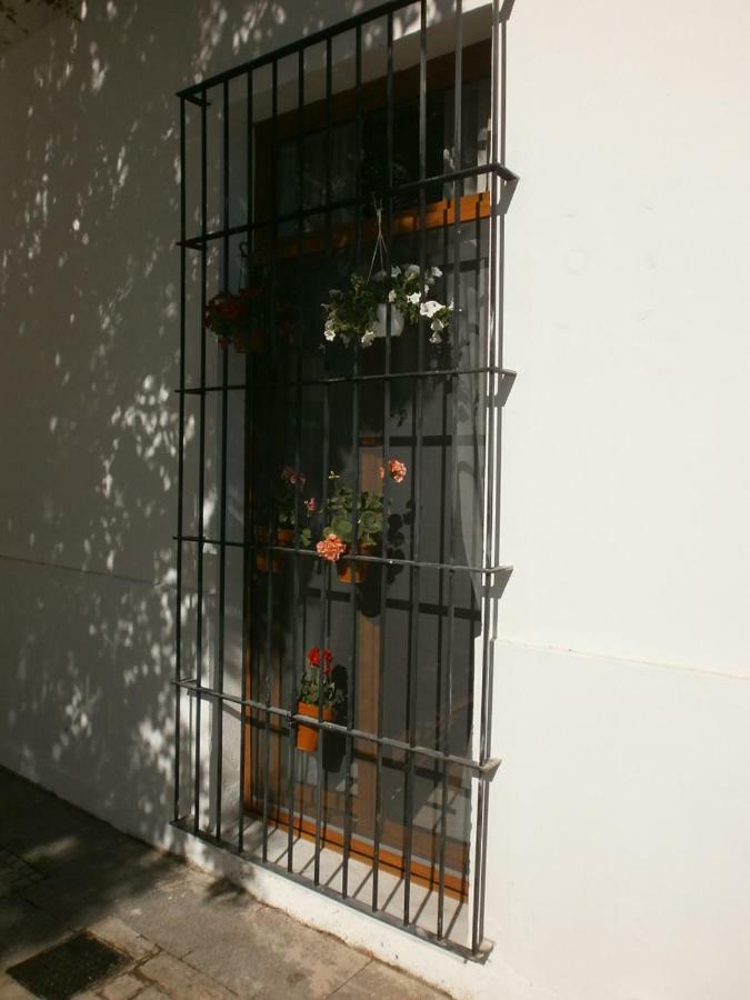Casa En Plaza De La Merced_Centro Flamenco_Cadiz Dış mekan fotoğraf
